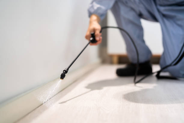 Rodent Entry Point Assessment in Rancho Cucamonga