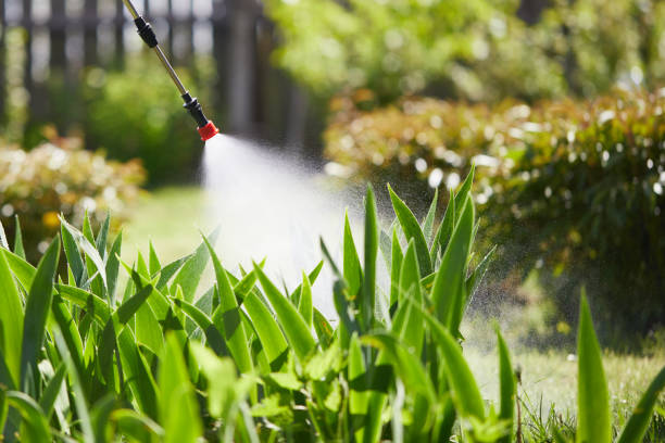 Tamper-Resistant Bait Stations for Rodents in Rancho Cucamonga