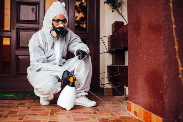 Attic and Crawl Space Rodent Treatment in Rancho Cucamonga