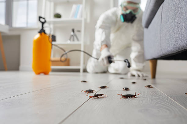 Commercial Rodent Management in Rancho Cucamonga
